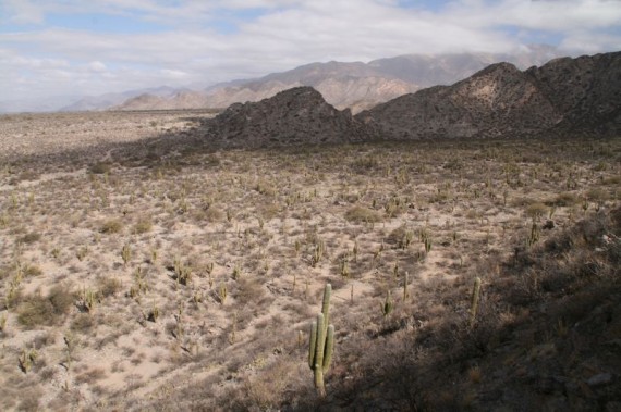 View from Quilmes Ruins, Argentina