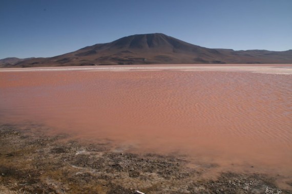 Laguna Colorada, red lake on Bolivia's salt flats tour Laguna Colorada, red lake on Bolivia's salt flats tour