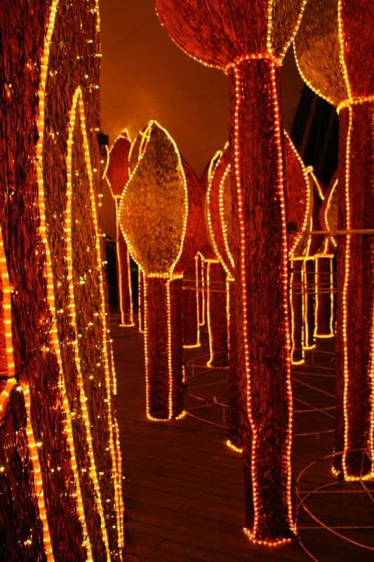 Matchsticks, Medellin Christmas lights