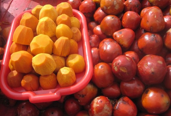 Weird chontaduro fruit, Colombia Weird chontaduro fruit, Colombia