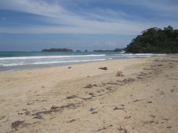 Red Frog Beach, Isla Bastimentos, Bocas del Toro Red Frog Beach, Isla Bastimentos, Bocas del Toro