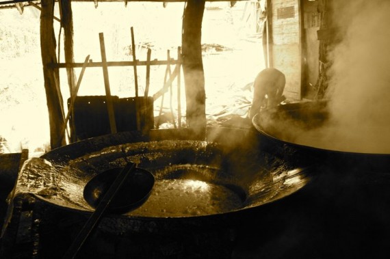 Boiling sugar cane juice, Trapiche