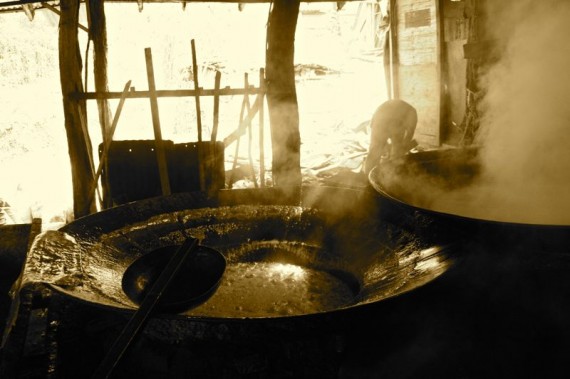 Boiling sugar cane juice, Trapiche Boiling sugar cane juice, Trapiche