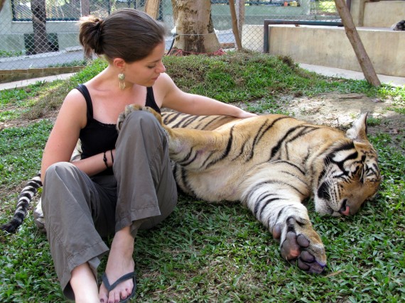 Jodi at Tiger Kingdom, near Chiang Mai, Thailand Jodi at Tiger Kingdom, near Chiang Mai, Thailand