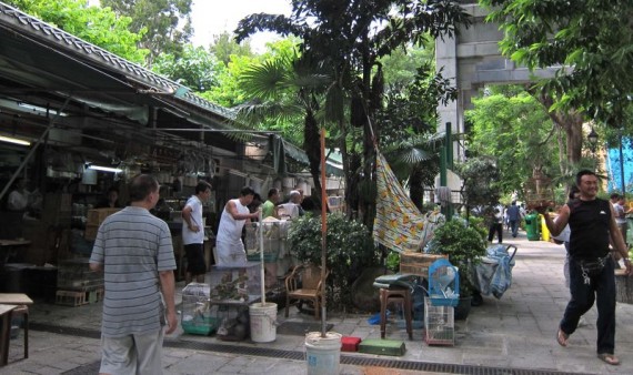 bird_market_mongkok