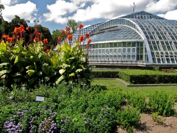 Kyoto Botanical Gardens