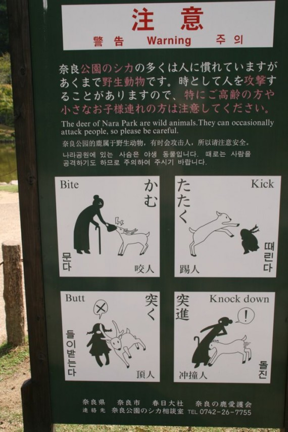 Nara deer warning sign Nara deer warning sign