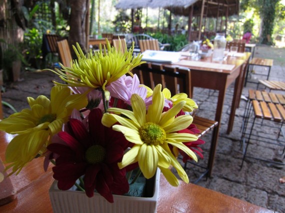 Chiang Dao Nest restaurant Chiang Dao Nest restaurant