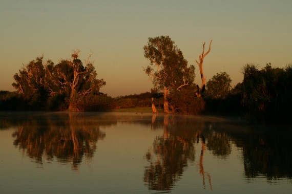 Yellow water, Kakadu, Australia Yellow water, Kakadu, Australia