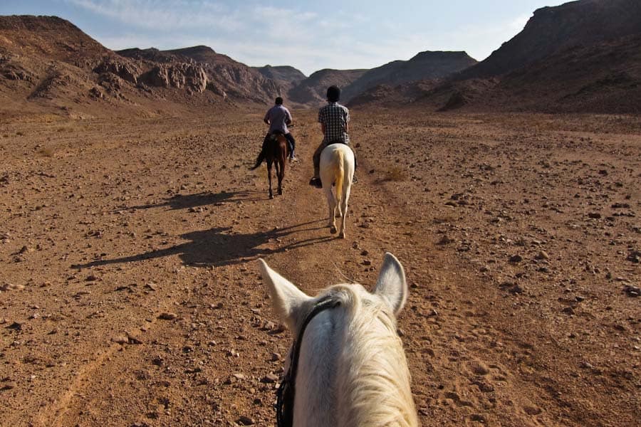 Horse riding in Wadi Rum