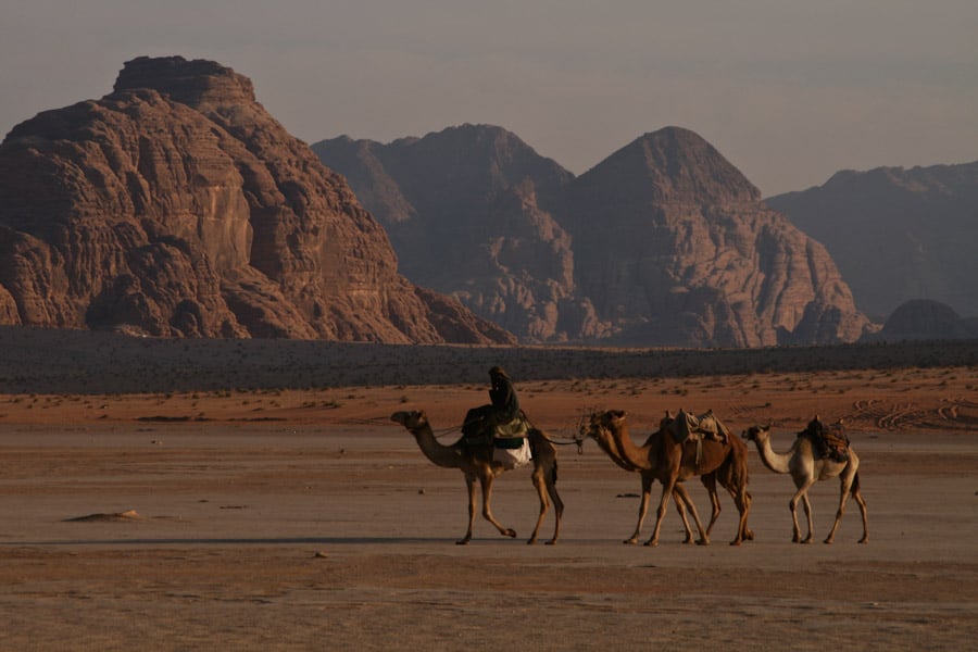 Bedouins on camels in Wadi Rum