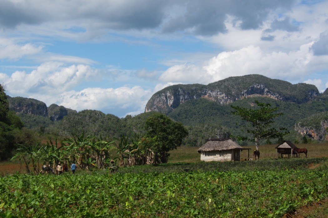Countryside near Vinales
