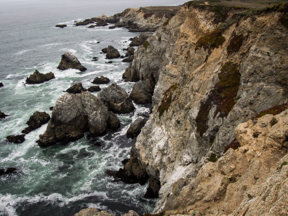 Bodega Head, one of the best things to do in Sonoma, California