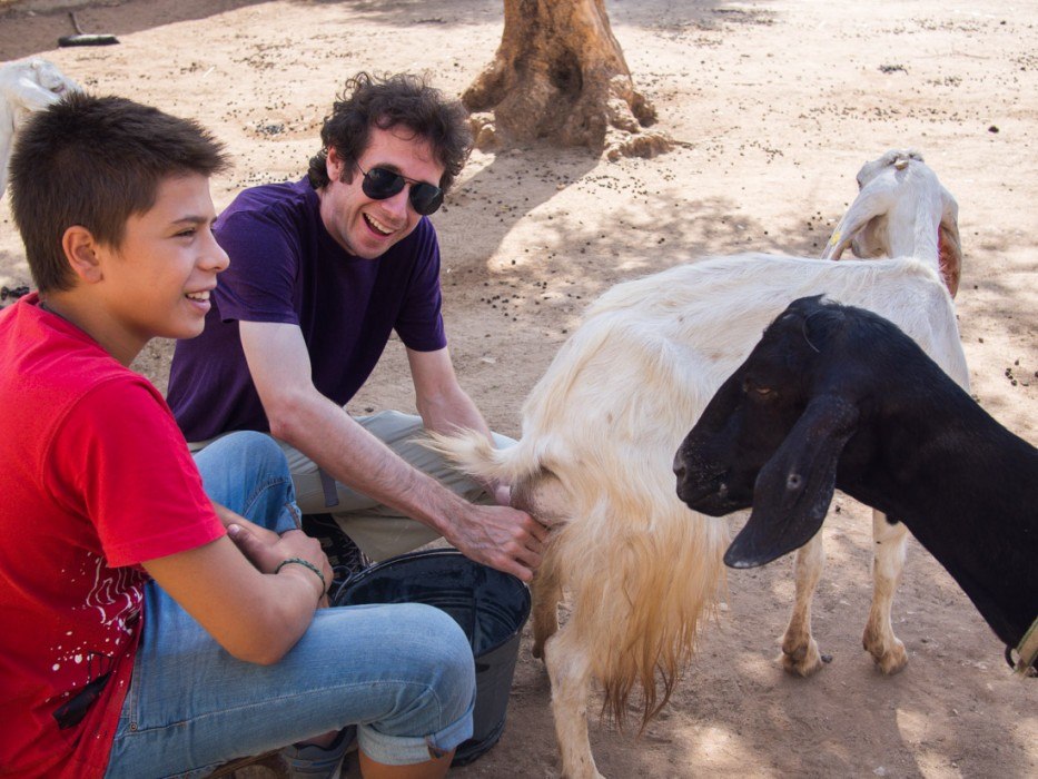 Milking a goat at Masseria Sant Angelo