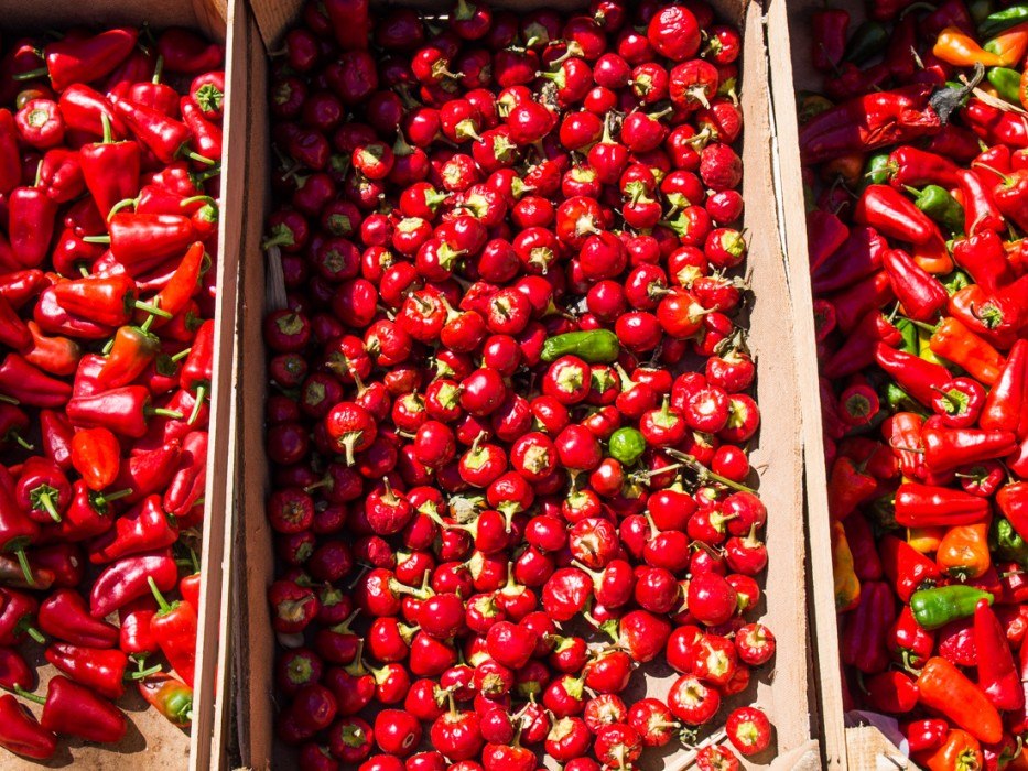 Red chiles at Ostuni market, Italy