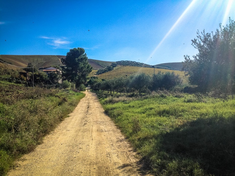 Track leading up to Agriturismo Tarantola, Sicily, Italy