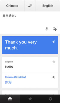 Screenshot of the iOS app Google Translate's interface