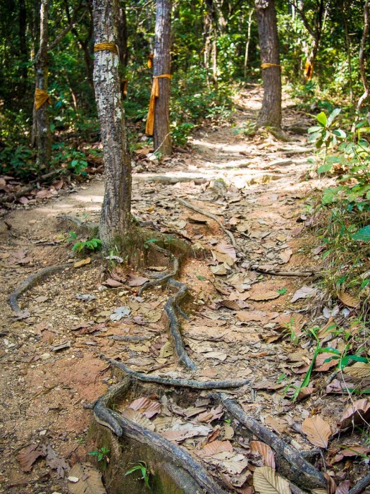 Wat Pha Lat, Chiang Mai trail, Thailand