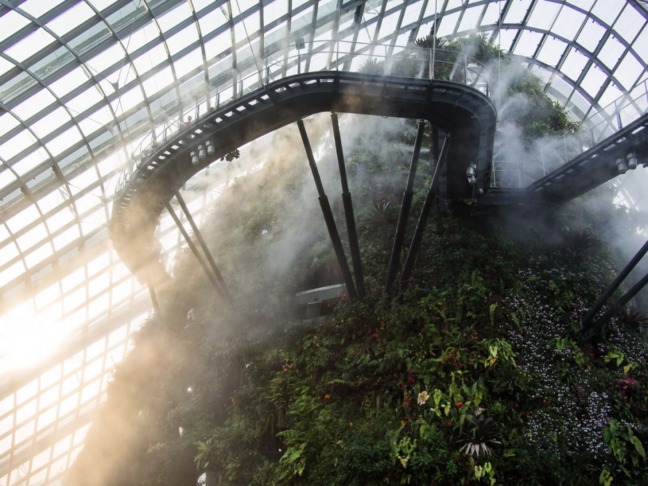 The misty Cloud Forest, Gardens by the Bay