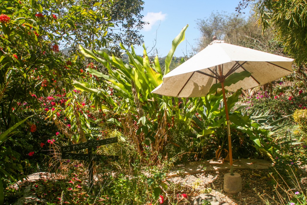 The garden of our San Pancho casita