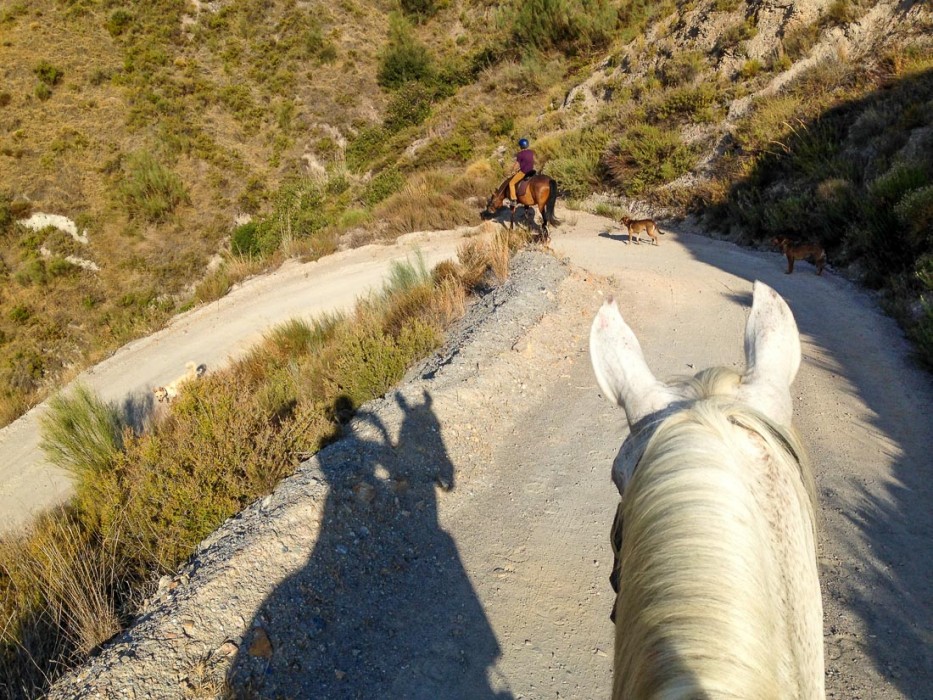 Horseriding in the Alpujarras