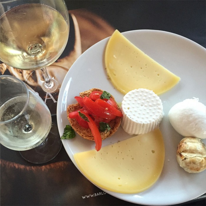 Wine tasting and dairy farm on Campania wine and sail review