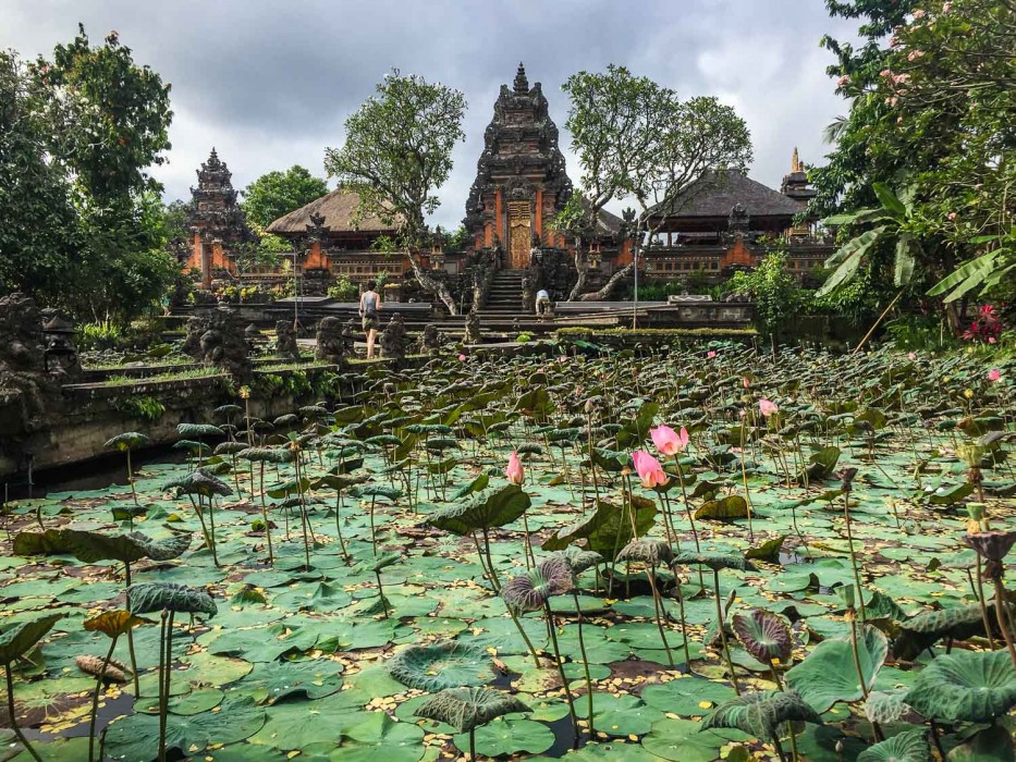 Lotus pond at Saraswati temple, Ubud, Bali
