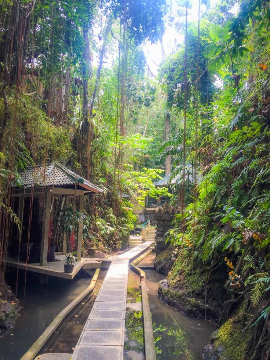 Boardwalk path at Taksu Yoga, Ubud, Bali