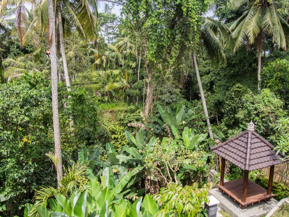 How to find a house to rent in Ubud - our view