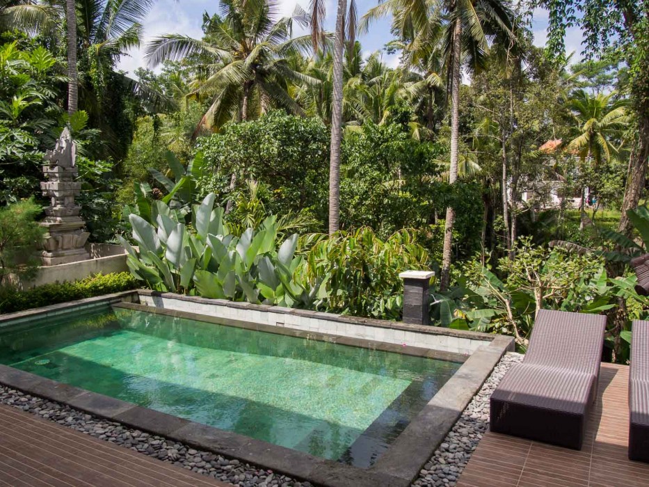 Ubud house rental pool surrounded by trees, Bali