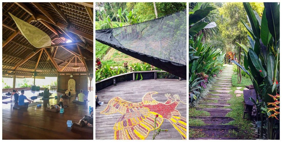 The Yoga Barn yoga studio, floor bird mural and grassy stone steps, Ubud, Bali