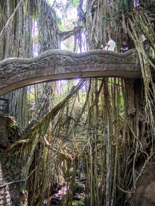 People walking over a stone bridge in the Monkey Forest, Ubud, Bali