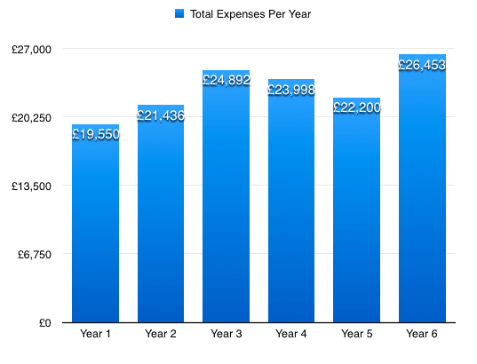 Digital nomad expenses by year