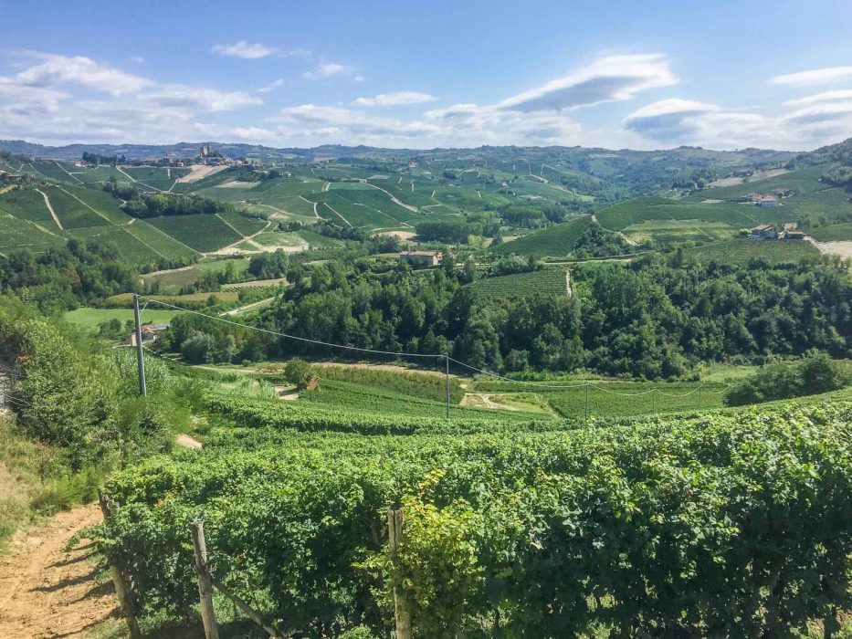 The view from Bar la Terrazza da Renza, Castiglione Falletto in Barolo wine region