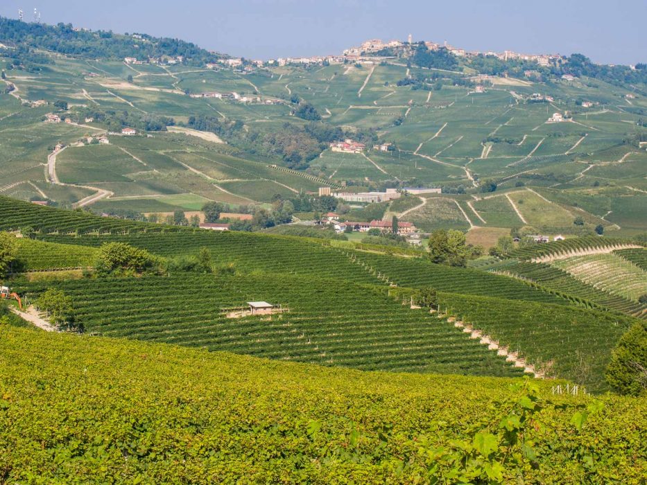 Langhe, Piemonte - view to La Morra