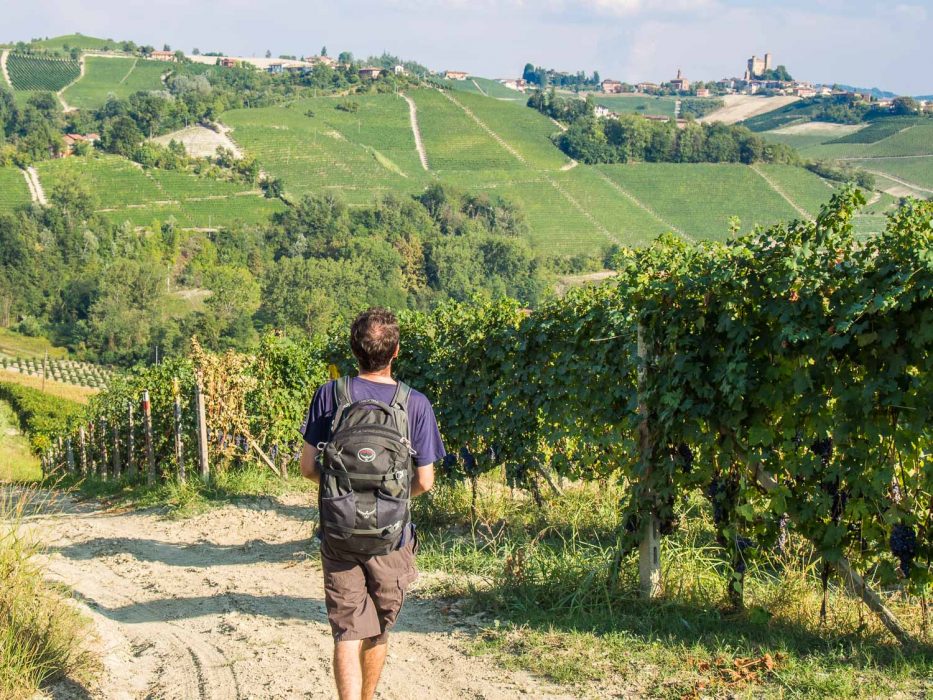 Langhe, Piemonte -Hikes in the vineyards