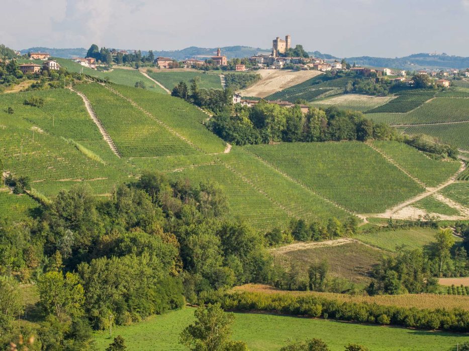 The view of Serralunga from Castiglione Falletto