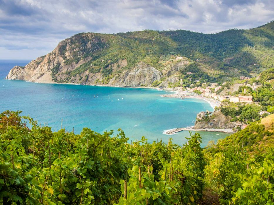 Hiking past vineyards towards Monterosso al Mare, one of the Cinque Terre villages