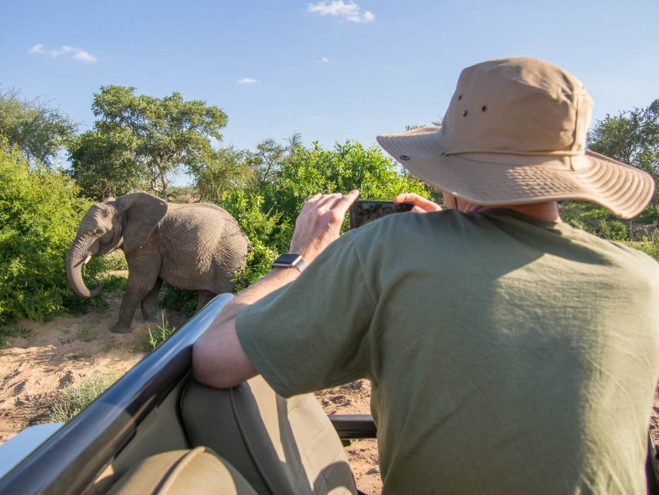 Simon taking photos of an elephant in Timbavati Reserve