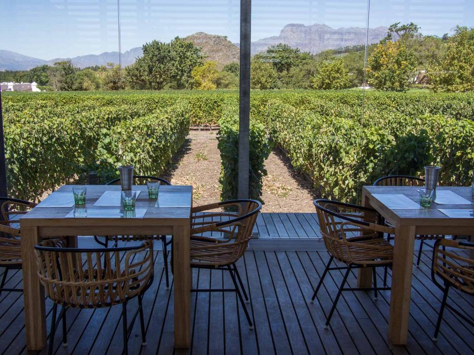 Wine tasting room at Babylonstoren, Franschhoek
