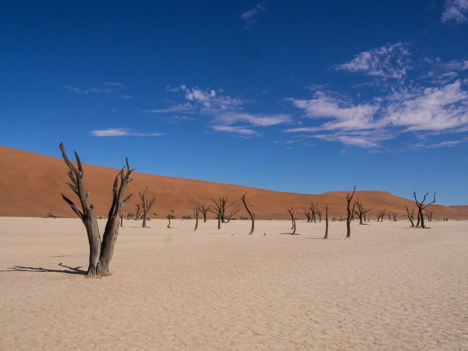 The surreal landscape of 900-year-old dead trees, white clay pan, and sand dunes at Deadvlei.