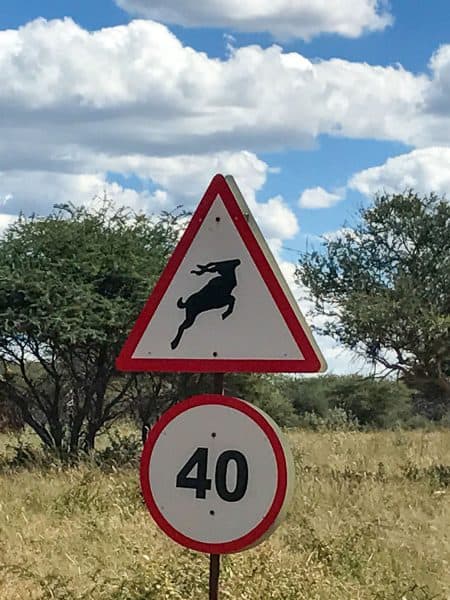 Namibia animal road signs