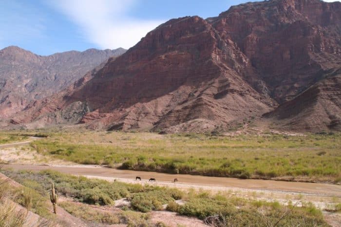 Quebrada de Cafayate