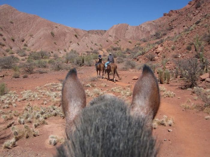 View from horse while riding in Tupiza