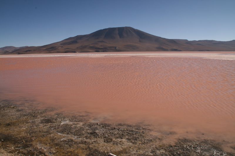Laguna Colorada, red lake on Bolivia's salt flats tour