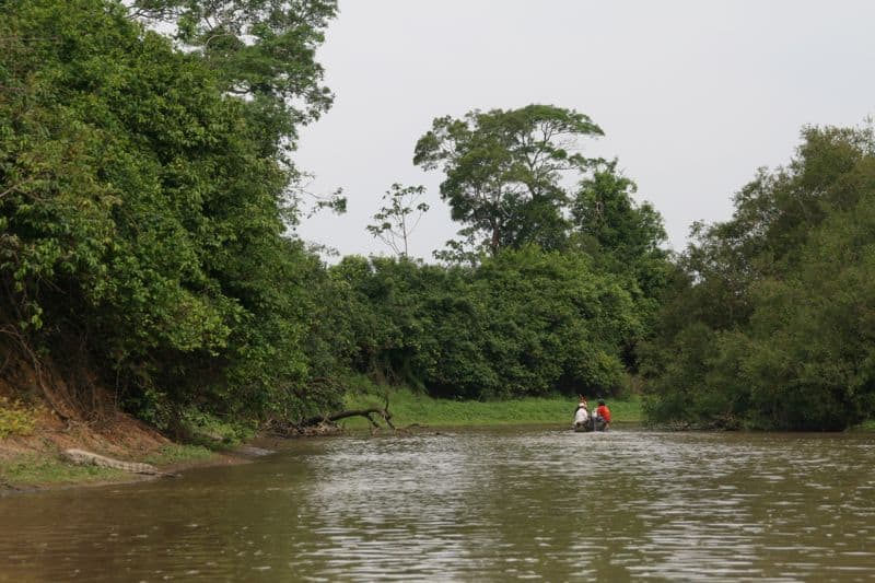 Canoe in pampas