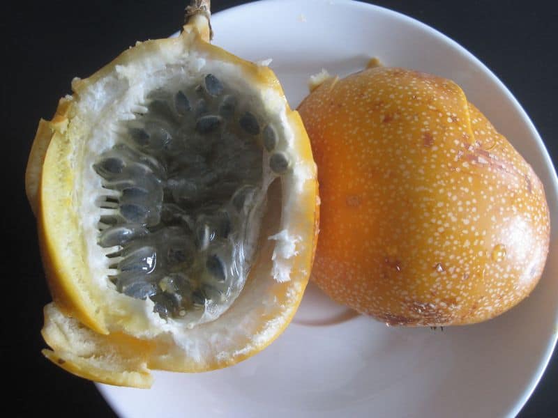 granadilla fruit, Colombia