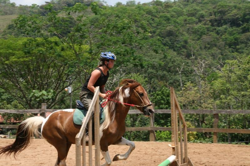 Erin jumping on Lluvia