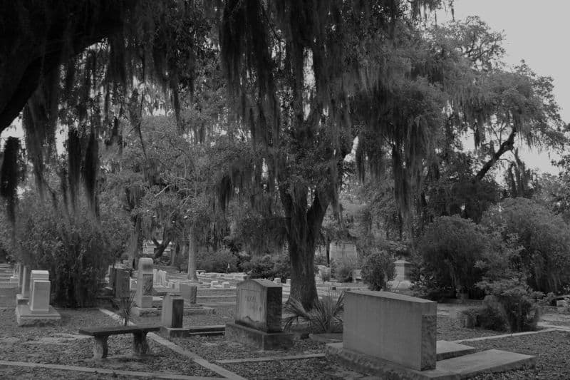 Bonaventure Cemetery, Savannah