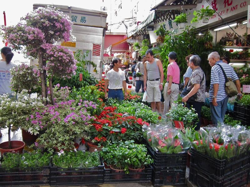 flower_market_mongkok